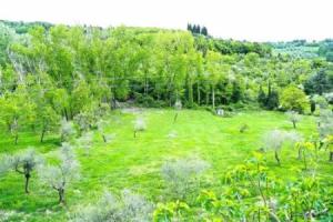 Le Tre Colombe, Bagno a Ripoli