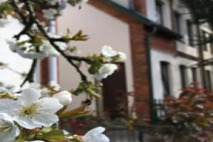 Ferienwohnung Berta Apartments, Luneburg