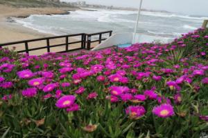 The house of secrets, Torrevieja