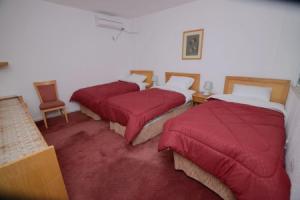 Petra Lion Hotel, Wadi Mousa