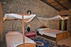 Mango Tree Lodge, Bhurkia