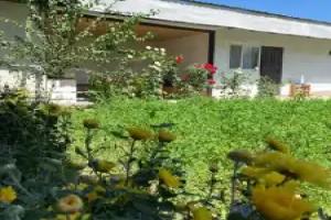 Guest House Kagan, Toktogul