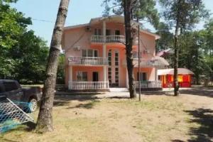 Alfa Shekvetili, Shekhvetili