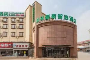 GreenTree Inn Zhixun (Dalian Zhoushuizi Airport Xinzhaizi Metro Station), Dalian