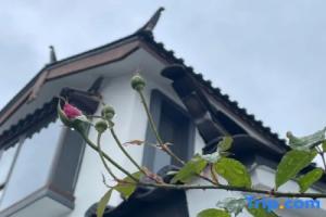 21 Degree Ju·Snow Mountain Courtyard (Lijiang Shuhe Ancient Town Branch) Hotel, Lijiang
