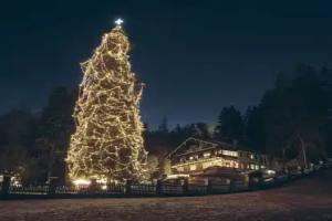 Hotel Sonnenheim, St. Anton