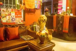 Boutique House Nipha, Chiang Mai City
