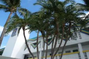 Palm Tree Club Miami Hotel, Miami Beach