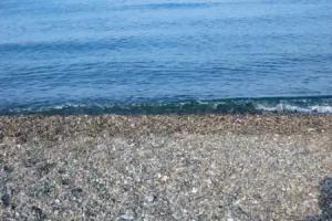 Hotel Niniko, Kobuleti