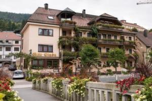Hotel Restaurant Alte Linde, Bad Wildbad