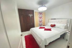 9DR 3-bedroom Apartment Near Monumental Area, Santiago