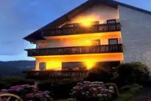 Hotel Schauinsland, Bad Peterstal-Griesbach
