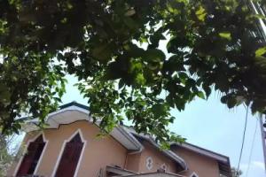 Hotels