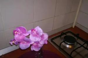 StayInBucharest Apartments, Bucharest
