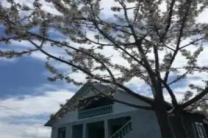 Homestay in Batumi, Chakvi
