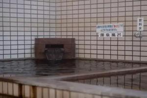 Tabist Hotel Yamashiro Onsen, Kofu
