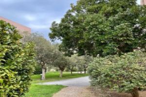 Appartement Saint Tropez Apartments, St. Tropez