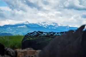 Field & Stream Lodge, Bozeman