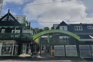 Willis Village, Wellington