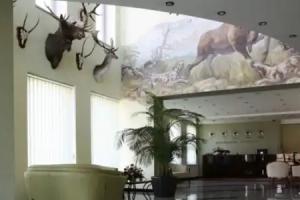 Hotels Hotels