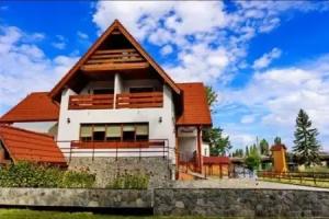 Pensiunea Green Park Hotel, Brasov