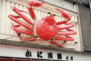 Hotel Claiton Shin-Osaka, Osaka