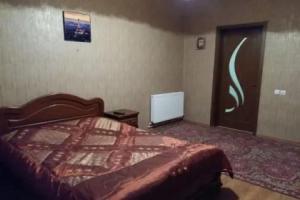 Sesili's home Apartments, Borjomi