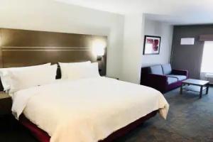 Holiday Inn Express & Suites Arpt Elvis Presley Blv by IHG, Memphis