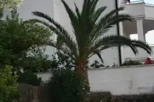 City Beach Hostel, Kotor