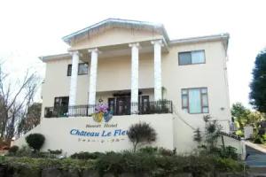 Château Le Fleur, Ito