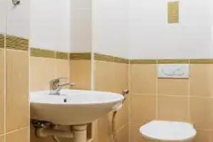 Teplice Apartments Dlouhá, Teplice