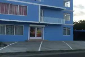 Bob Apartments, Calodyne