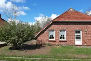 Flut Hotel, Norden