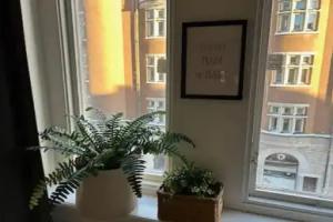 Stockholm Loft Haven 3 Beds in a 1-bedroom Gem, Stockholm