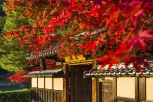 Suiran, a Luxury Collection Hotel,, Kyoto