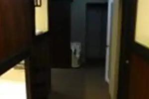 Hotel Bloom Batumi, Batumi