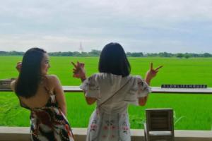 Slowlife House Ayothaya, Ayutthaya City