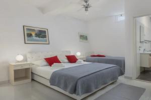 Villa Blanka, Drasnice