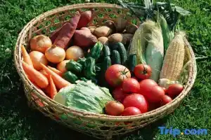 Forest Spa Resort Hokkaido Hotel, Obihiro