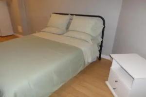 Fantastic and Modern Downtown 1-Bed Basement Apt., parking Wi-Fi and Netflix included Apartments, Ottawa