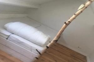 Domus Hotel, Damme