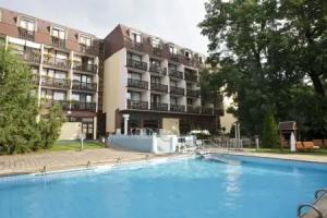 Ensana Thermal Sárvár, Sarvar