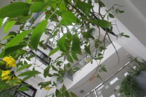 Ale Nha Trang Hotel, Nha Trang