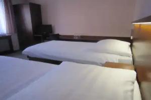 Hotel Baltaci U Náhonu, Zlin