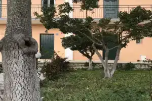 Room-studio in Banos Apartments With sha, Roda