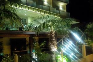 Hotel California, Cervia