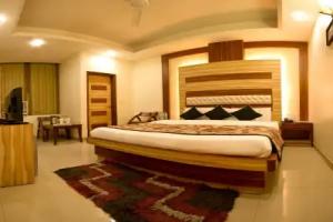Hotel Aster Inn, Delhi City