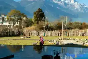 Buwan Liyu · Wild Aurora Sunrise Golden Peak Wilderness Homestay (Baisha Ancient Town Branch), Lijiang