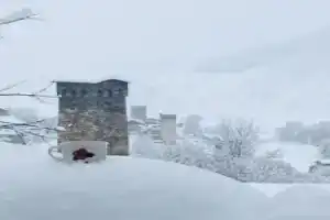 ``Avalianebi`` Guest house, Chvabiani