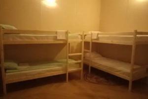 Hostel Wings, St. Petersburg